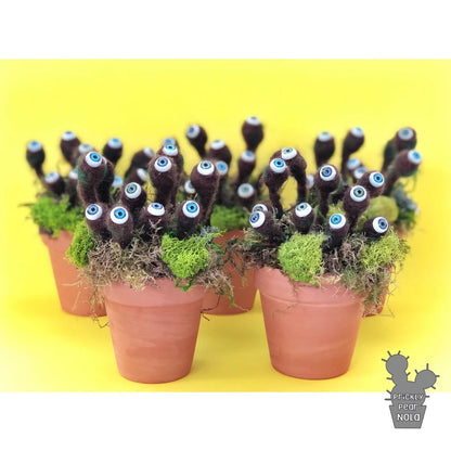 Potted Eye Lichen Art Sculpture