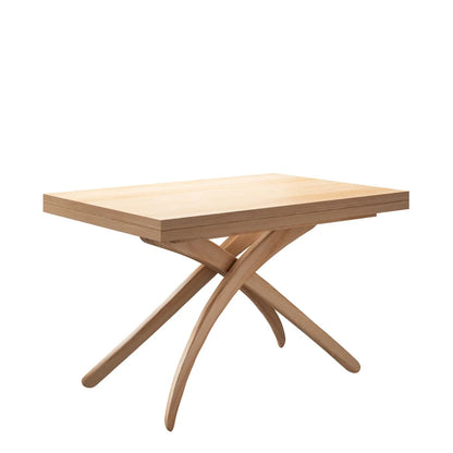 Multi-Functional Extendable Height-Adjustable Table